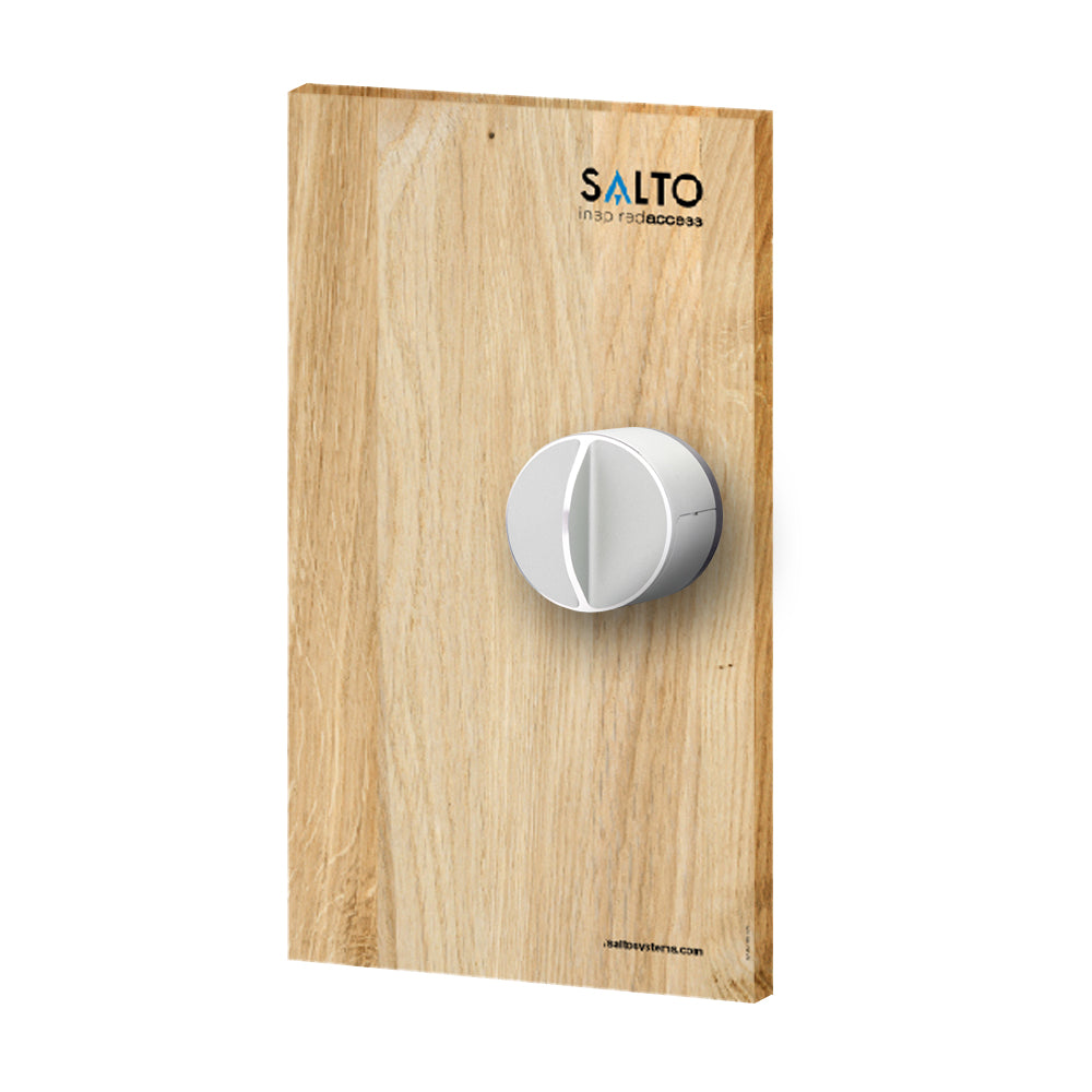 Maquette de porte avec verrou et loquet Z-WAVE) - SECUROTOP