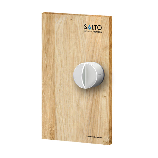 Maquette de porte avec verrou et loquet Z-WAVE) - SECUROTOP