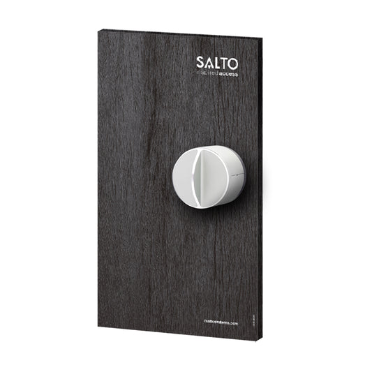 DANLOCK V3 SMART LOCK (COUVERCLE EN BOIS FONCÉ) - SECUROTOP